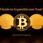 A Brief Guide to Crypto30x.com Trust Wallet
