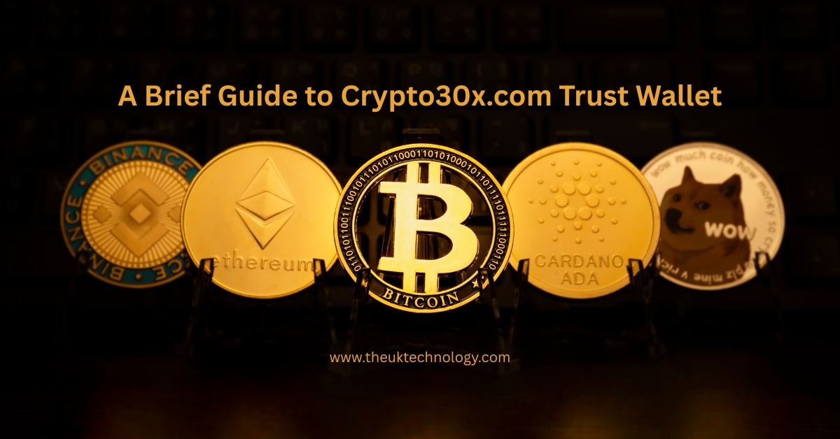 A Brief Guide to Crypto30x.com Trust Wallet