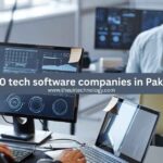 software companies in Pakistan