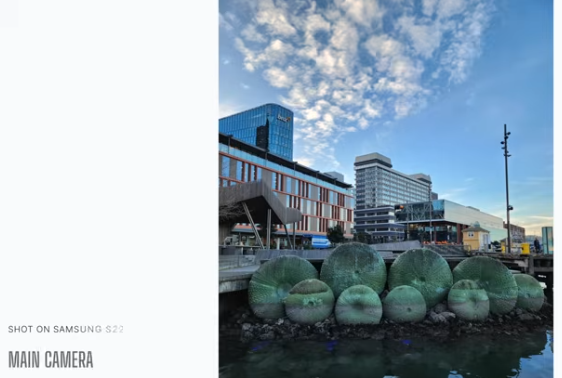 Samsung galaxy s22 Main Camera Result